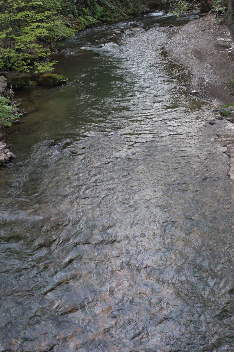 SUYUN ÖNEMİ